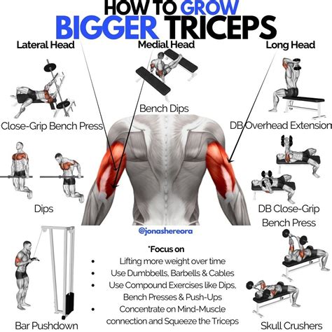 Hold a dumbbell in each hand at the sides by your chest so your elbows are bent at about 90 degrees. Engaging your triceps, straighten your arms behind you with your palms facing in. Your arms ...
